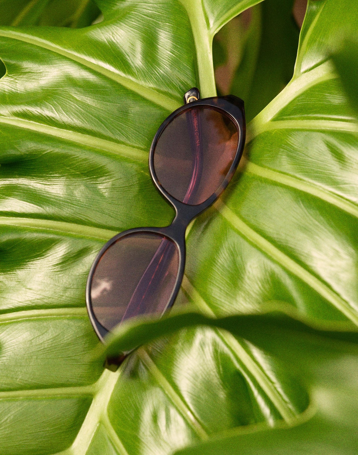 Madewell The Solina Oval Sunglasses