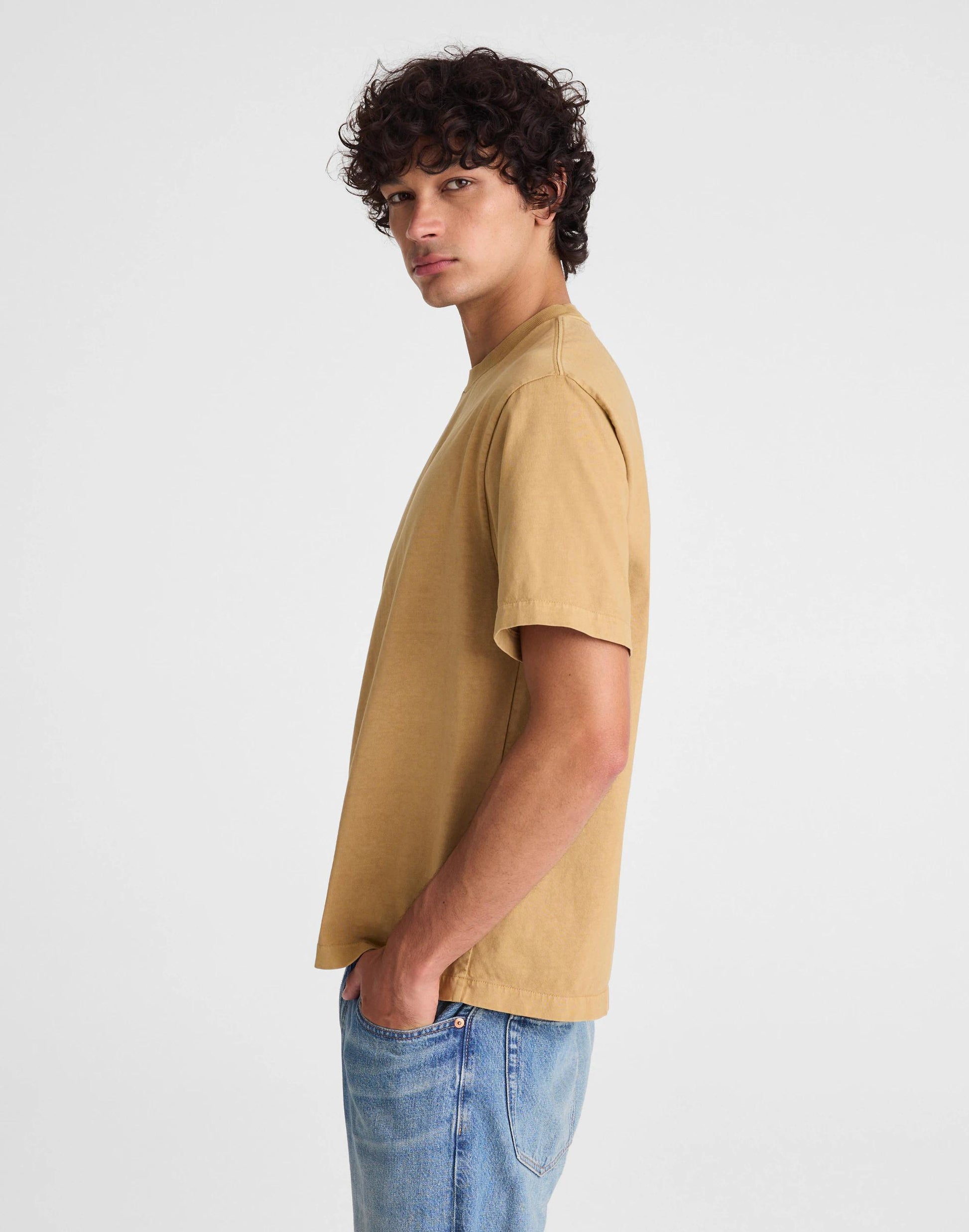 Madewell The Vintage Tee