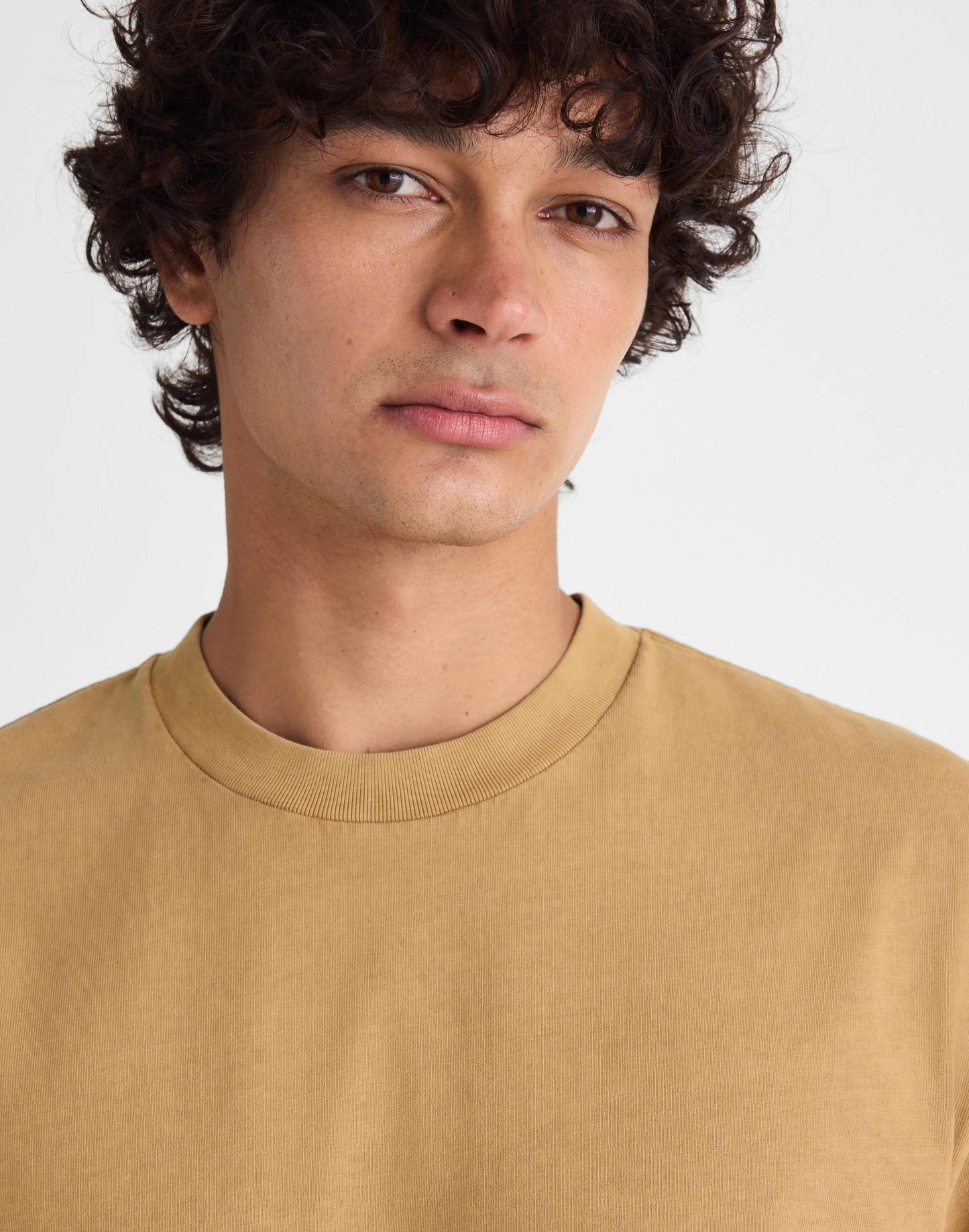 Madewell The Vintage Tee