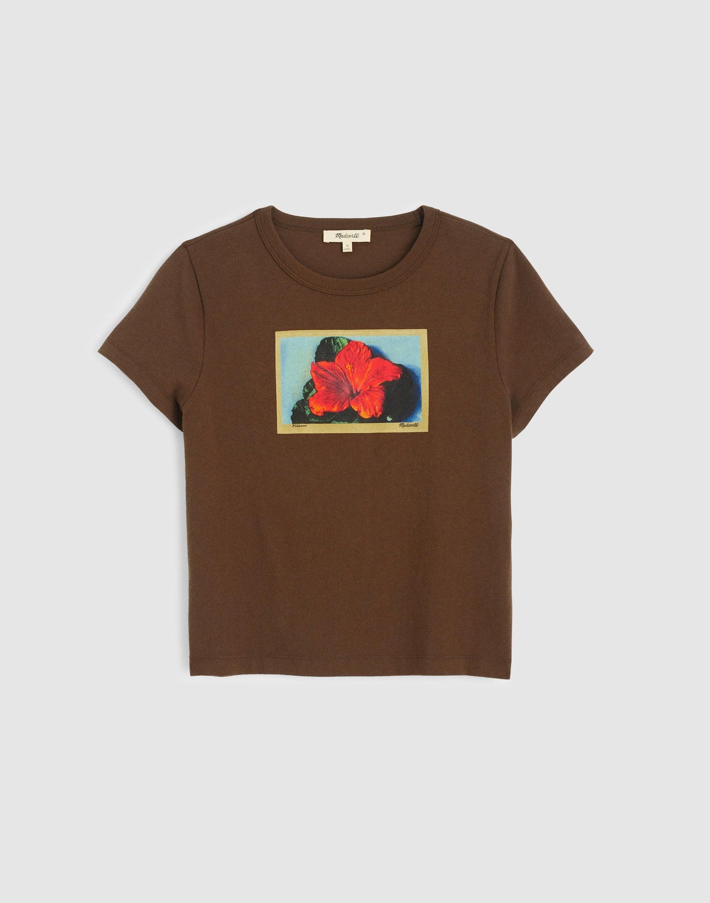 Madewell The Relaxed Baby Tee in Vintage Jersey