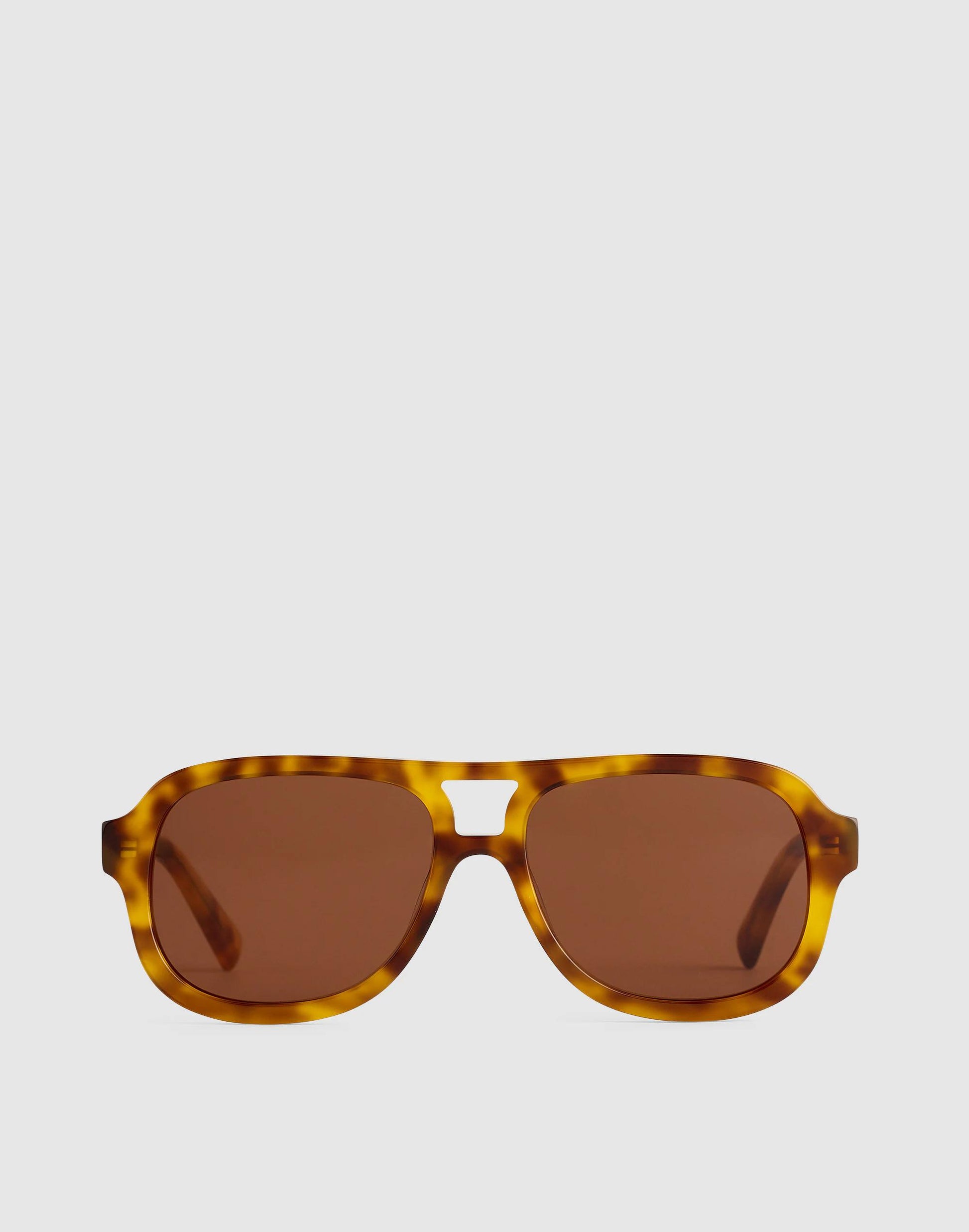 Madewell Logaan Aviator Sunglasses