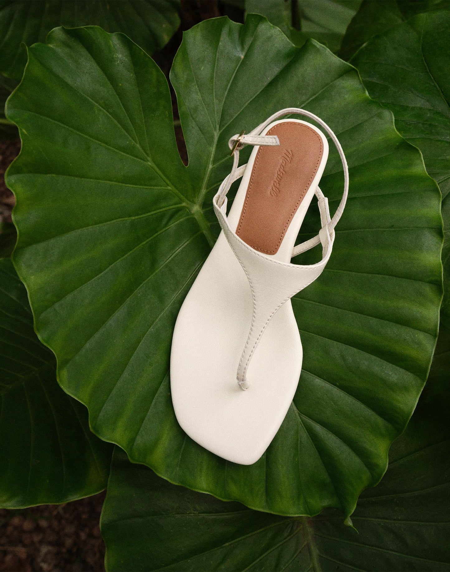 Madewell The Chiara Kitten Heel Slingback Sandal