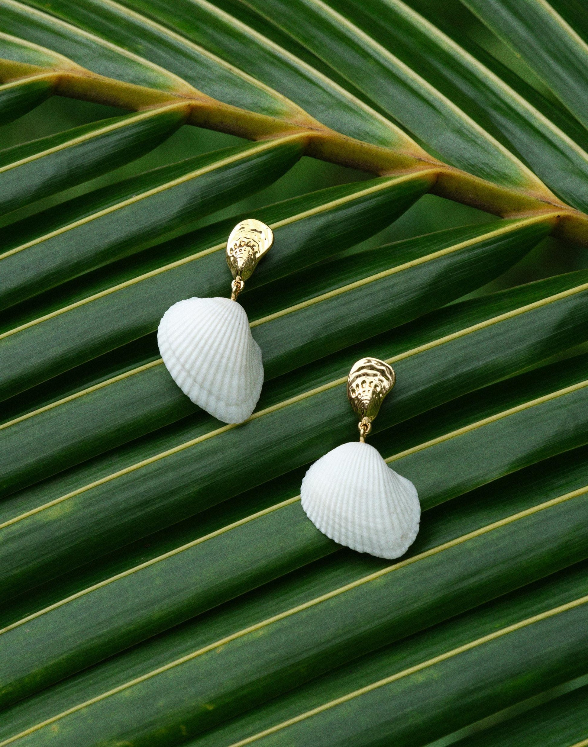 Madewell Madewell x Shopbop Mixed Shell Drop Earrings