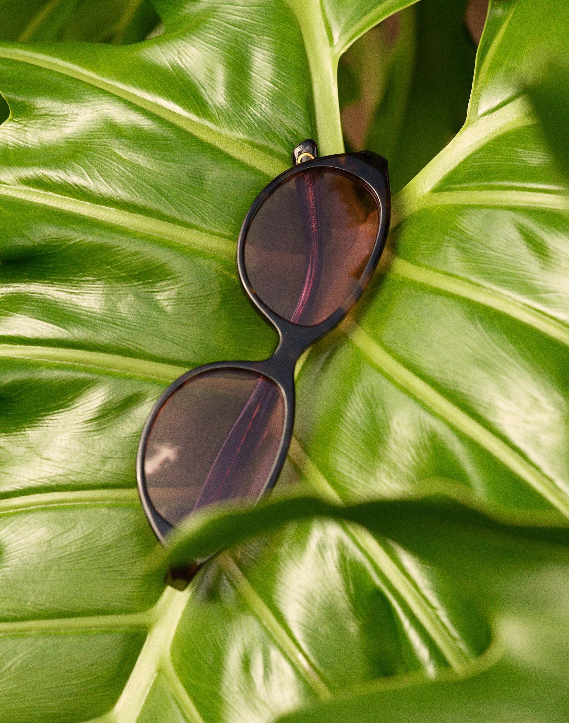 Madewell The Solina Oval Sunglasses
