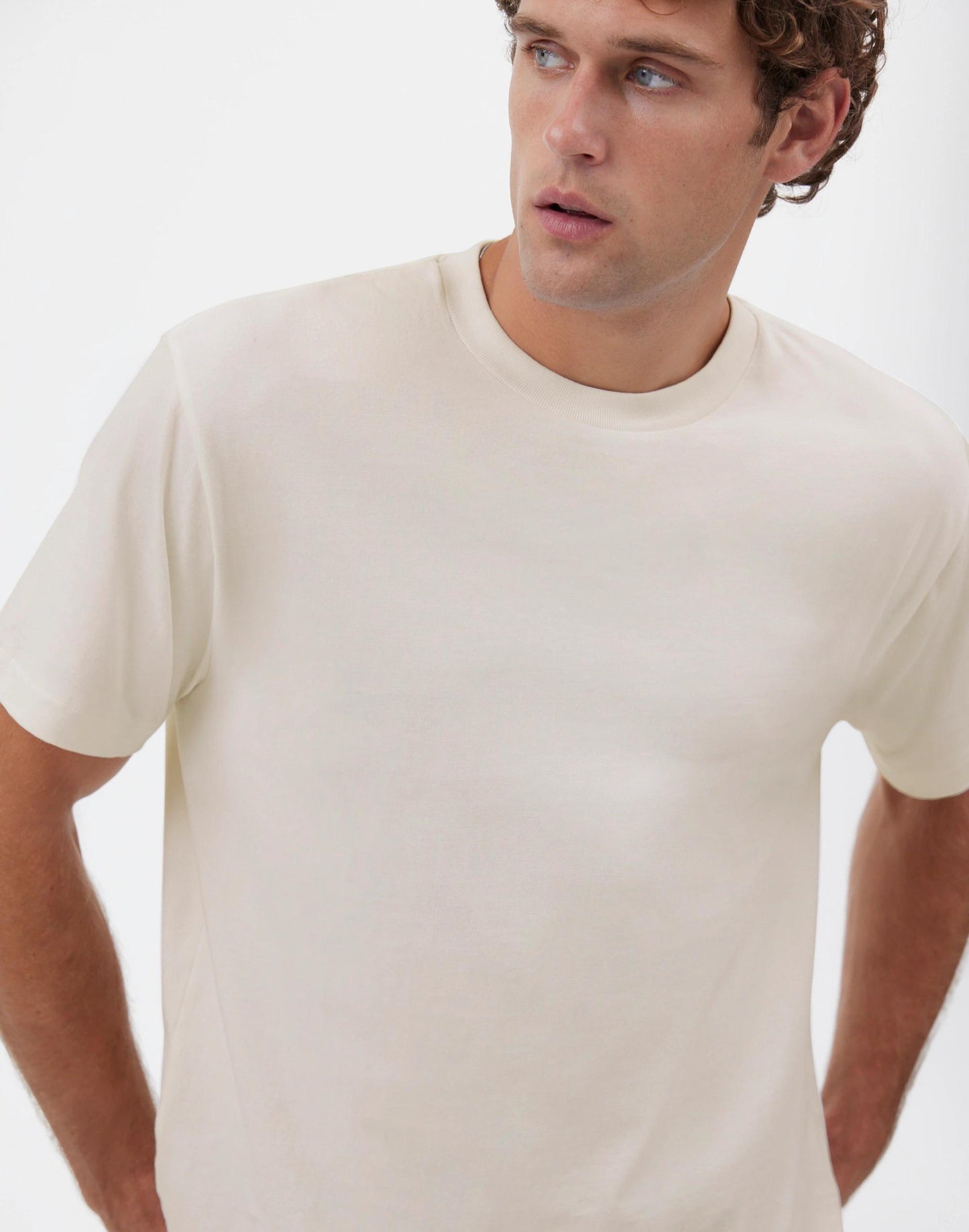 Madewell The Vintage Tee