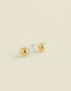 14k Gold